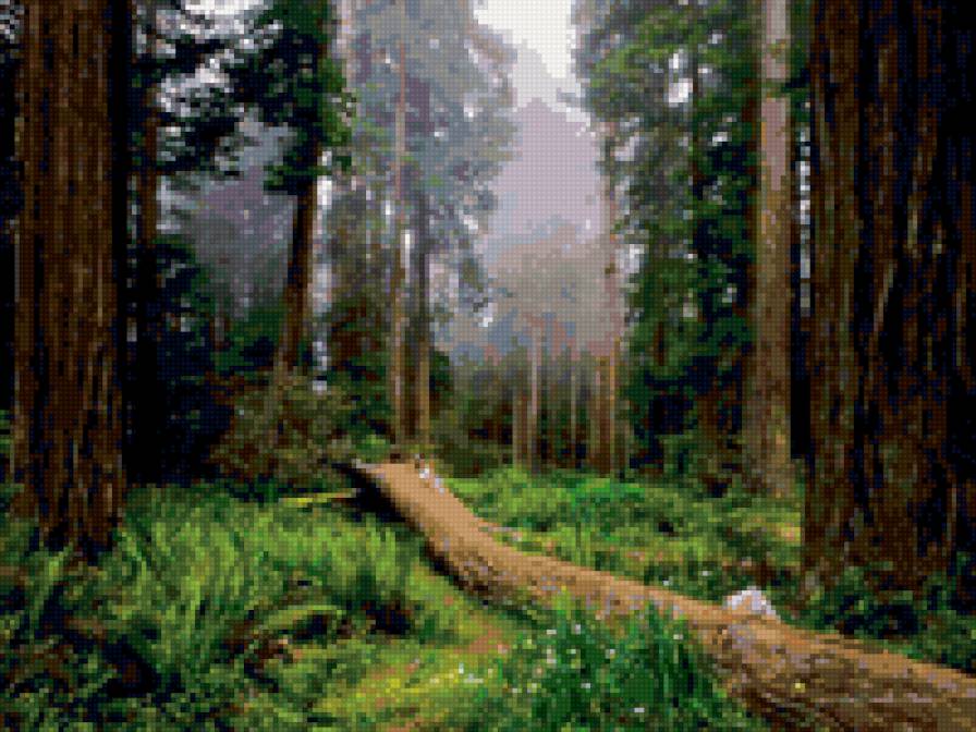 Природа леса - пейзаж, природа - предпросмотр