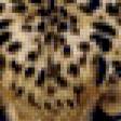 Предпросмотр схемы вышивки «Серия "Дикие кошки" Леопард» (№125813)