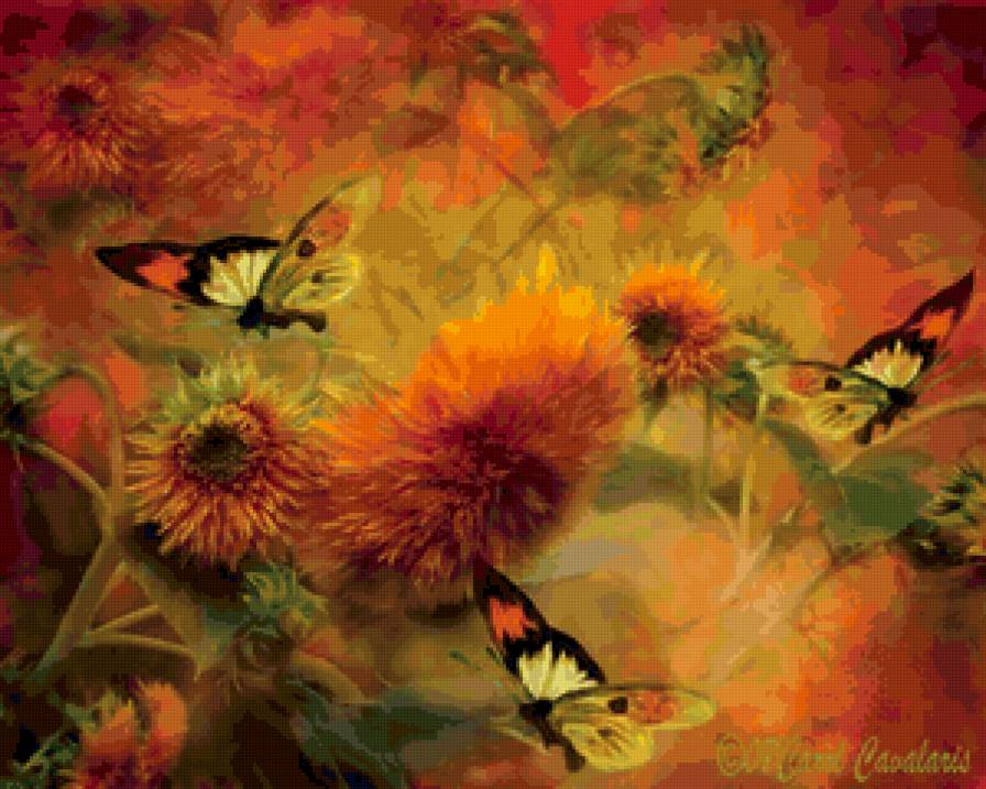 Бабочки - природа, бабочка, цветы - предпросмотр