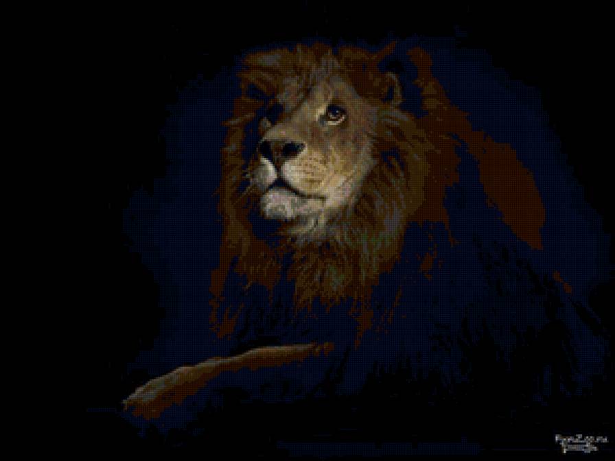 Лев - животные, львы - предпросмотр