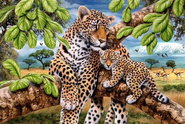 леопарды - кошки - оригинал