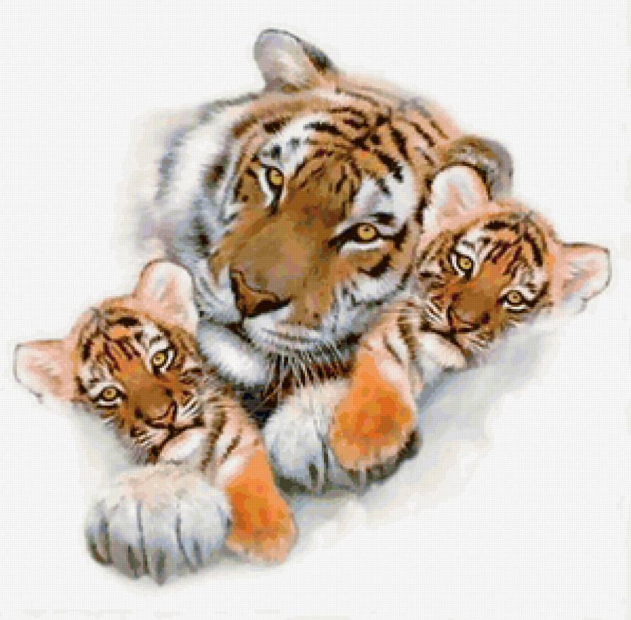 тигры - кошки - предпросмотр