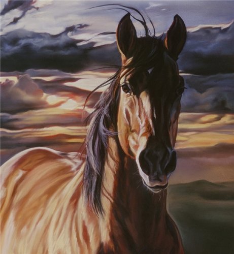 0037 - кони, лошадь, животные, красота, природа - оригинал