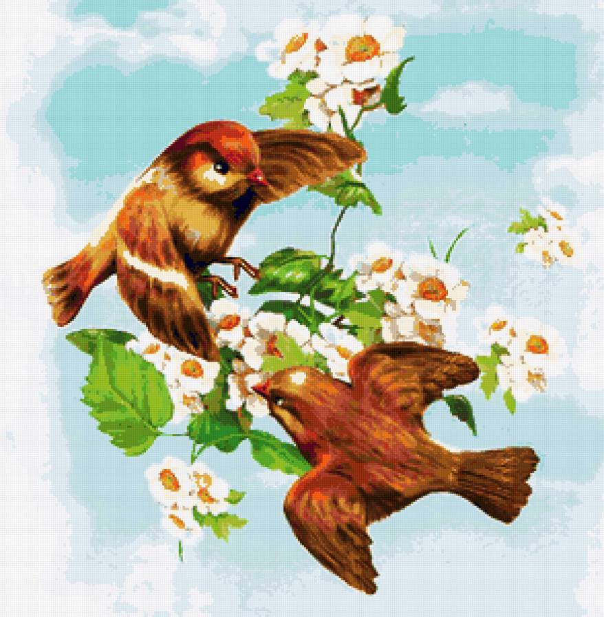Весенние пташки - природа, весенние цветы, весна, птичка, птицы, цветочки - предпросмотр