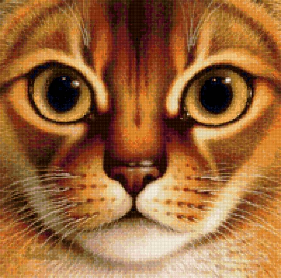 Кошачья серия - кошка, глаза, портрет, животные - предпросмотр