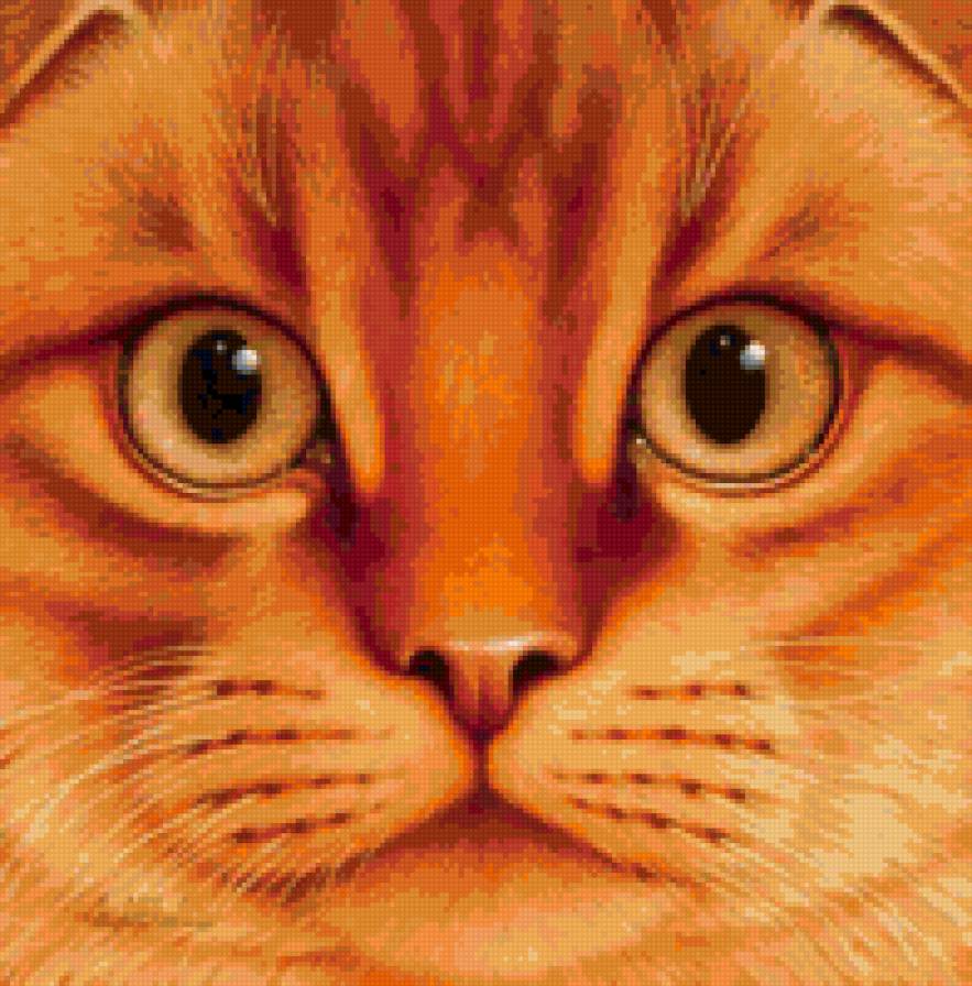 Кошачья серия - животные, кошка, портрет, глаза - предпросмотр
