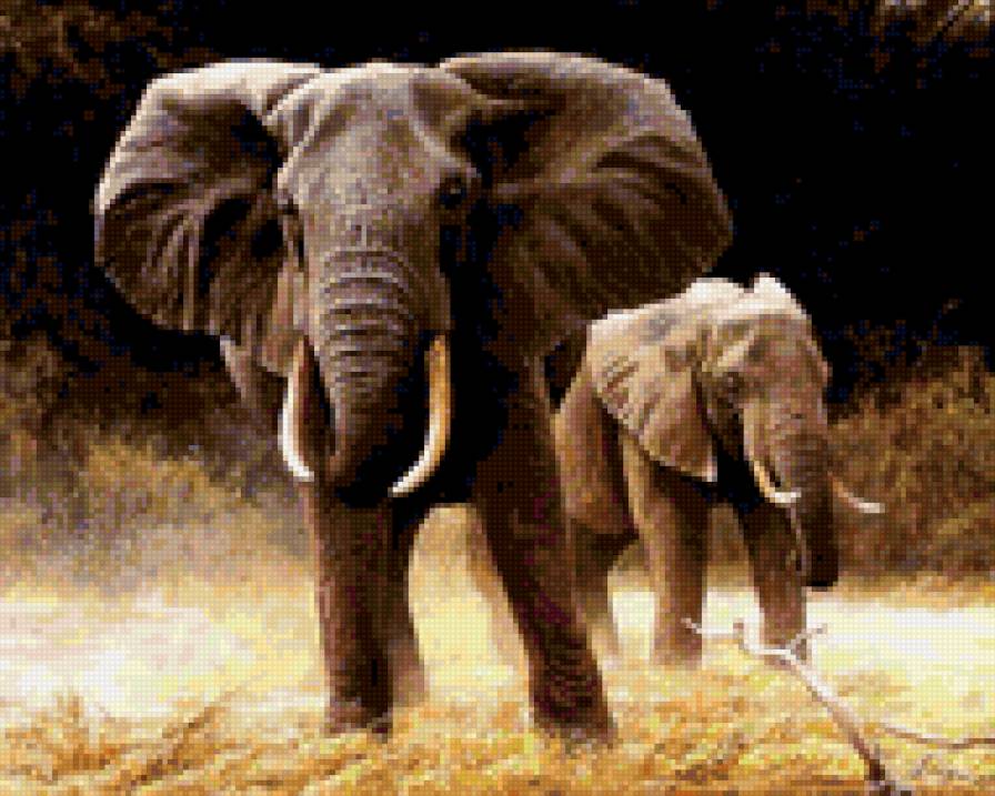 Африканские слоны - животные, саванна, слоны, африка - предпросмотр
