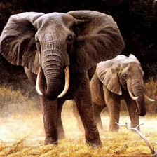 Оригинал схемы вышивки «Африканские слоны» (№126960)