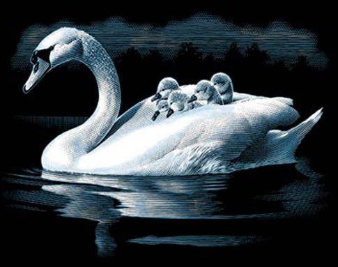 Мать и дети... - черный фон, лебедь, детеныши - оригинал