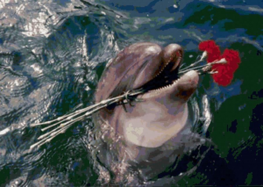 Для тебя - дельфин, романтика - предпросмотр