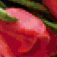 Предпросмотр схемы вышивки «тюльпаны» (№127030)