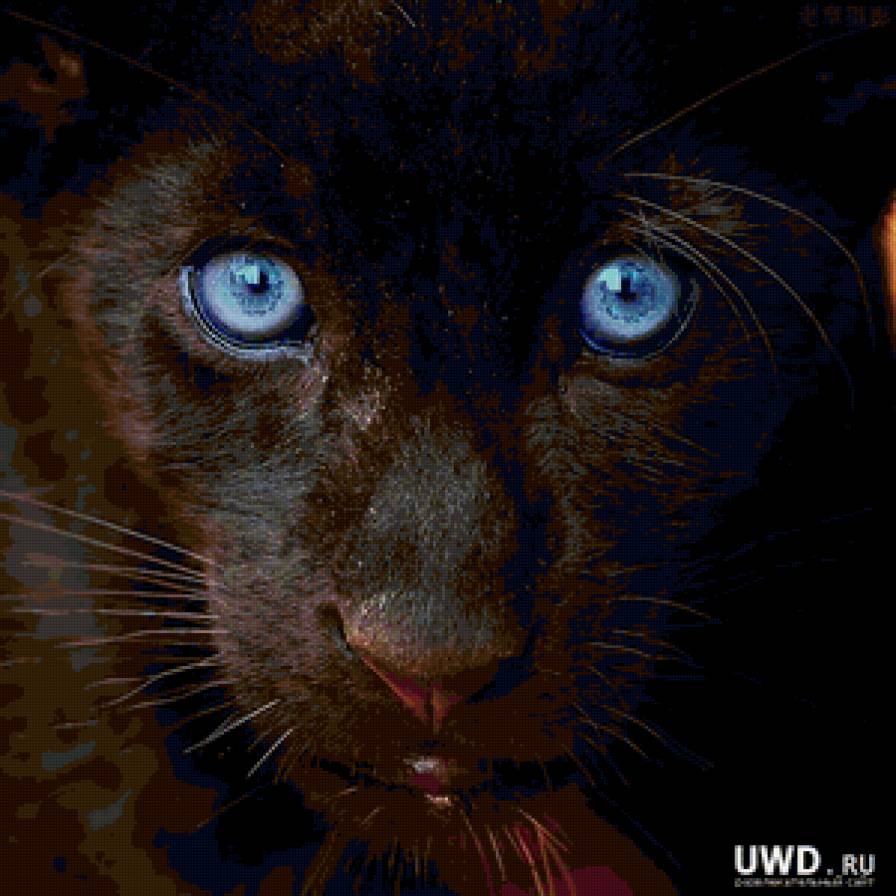 Чёрная пантера - животные, кошки - предпросмотр