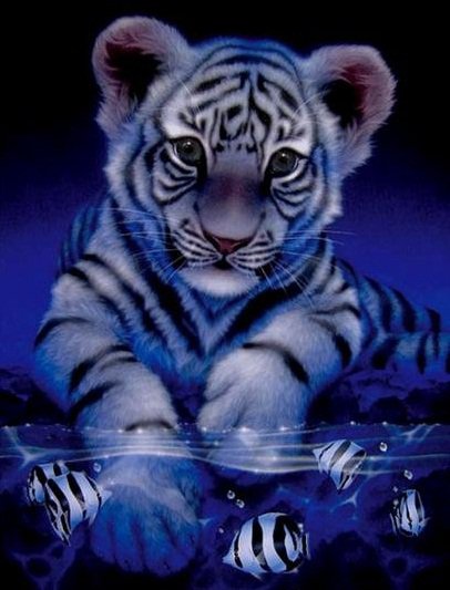 Тигрёнок анимашка - рыбки, тигр, детеныш, хищник, вода - оригинал