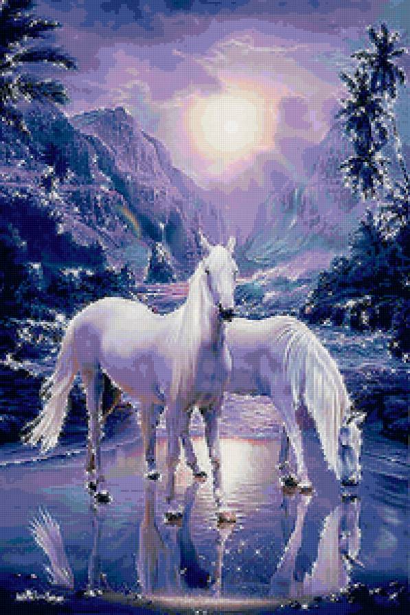 Лошади - ночь, лошадь, волшебство, фэнтэзи, звезды, конь - предпросмотр