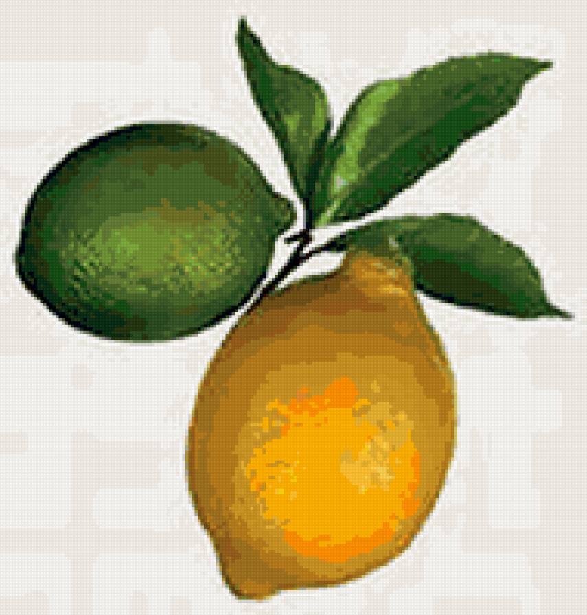 два лимона - фрукты, лимоны, для кухни, цытрусы - предпросмотр