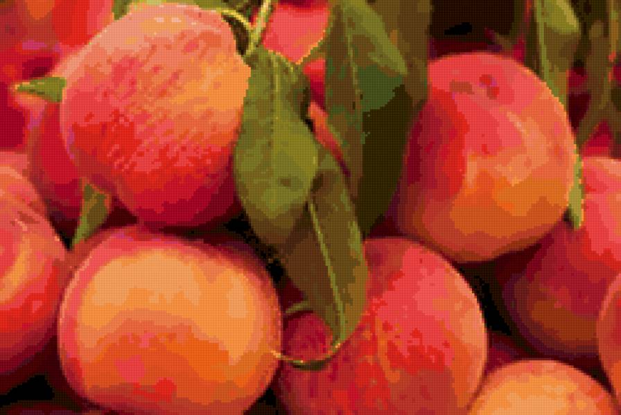 персики - фрукты, ягоды, персики, для кухни - предпросмотр