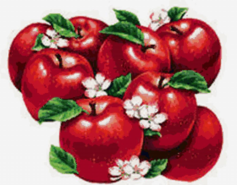 яблочки - фрукты, яблоки, ягоды, для кухни - предпросмотр
