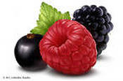 ягоды - малина, для кухни, ягоды, ежевика, смородина - оригинал