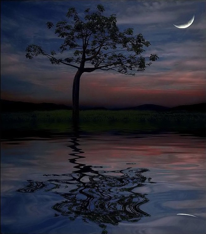Ночной пейзаж - пейзаж, луна, природа, ночь, отражение, вода - оригинал