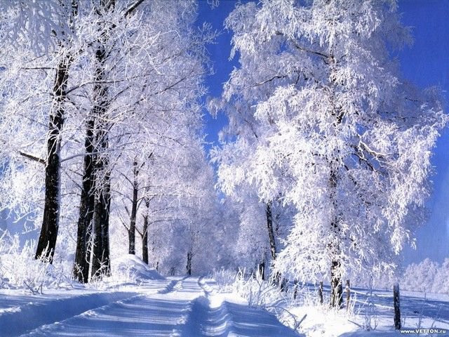 Зимняя дорога - природа, пейзаж, зима, снег - оригинал