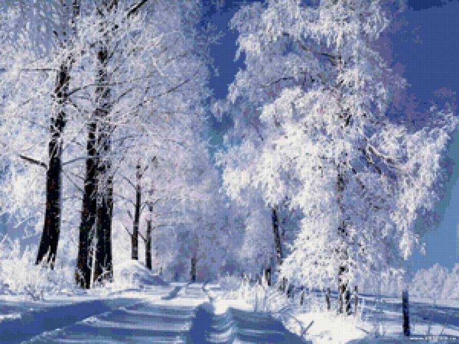 Зимняя дорога - снег, природа, пейзаж, зима - предпросмотр