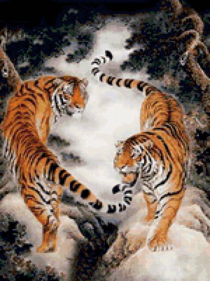 тигры - хищники, тигры, звери, пара - предпросмотр