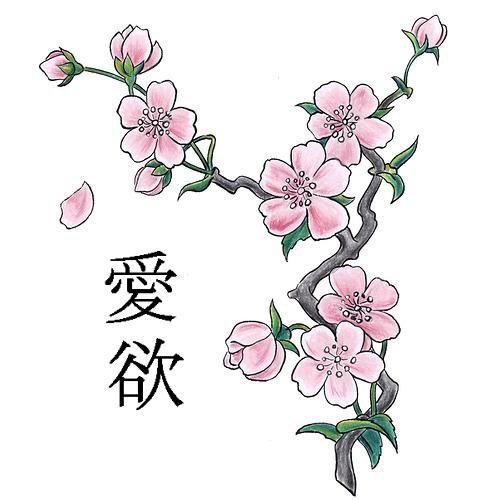 Сакура - восток, япония, дерево, сакура, иероглифы, цветы - оригинал