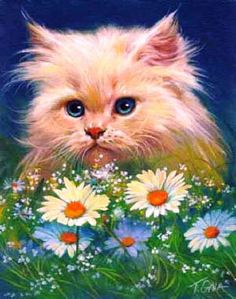 Кошки в цветах - кот, кошки в цветах, животные. цветы, ромашки, кошки, кошка - оригинал