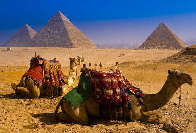 Египет - пирамиды, верблюд - оригинал