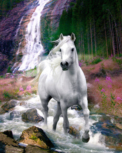 Конь у водопада - животное, лошадь, природа, конь, лошади, водопад, пейзаж - оригинал