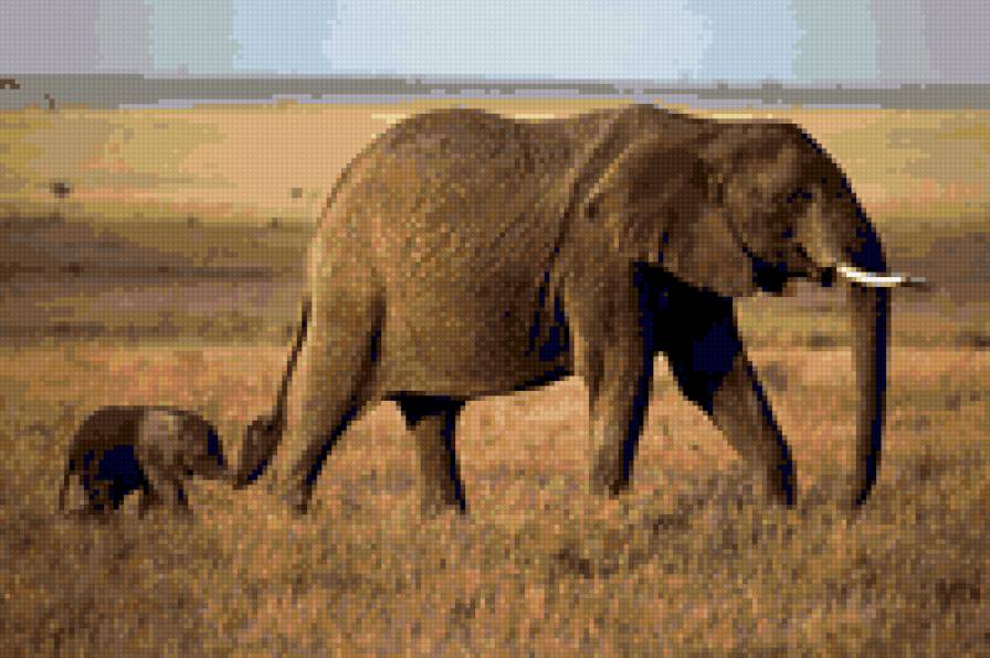 Большая прогулка - слон - предпросмотр