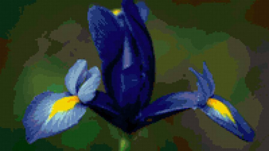 петушок - цветы - предпросмотр