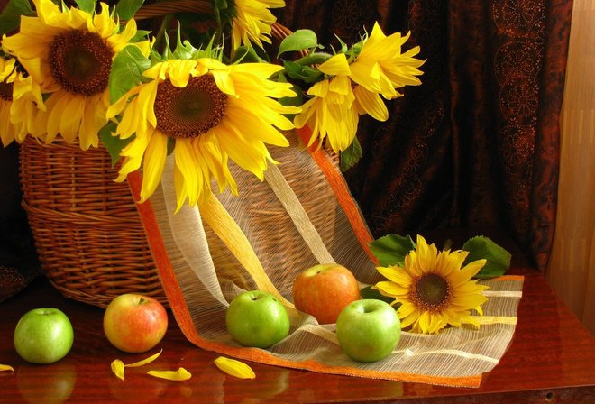 Подсолнухи - козина, цветы, яблоки, осень - оригинал