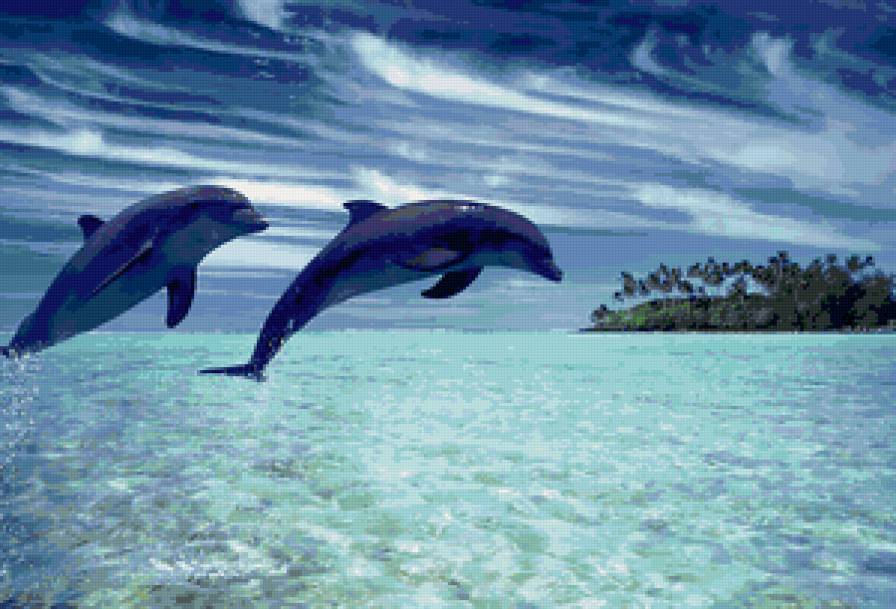 Дельфины - море, прыжок - предпросмотр