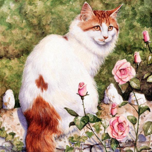 Котик - котики, животные, цветы, кошки - оригинал