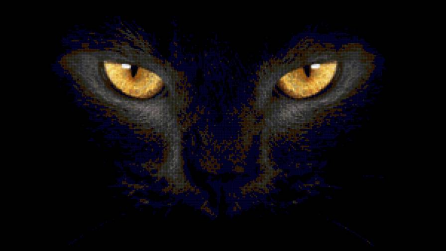 Глаза черной кошки - черная кошка, взгляд, глаза, животные - предпросмотр