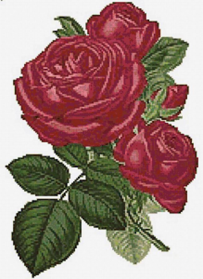 №129782 - розы, ваза, цветы, букет - предпросмотр