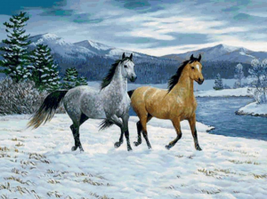 кони на снегу - кони - предпросмотр