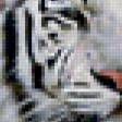 Предпросмотр схемы вышивки «Пара белых тигров» (№129934)