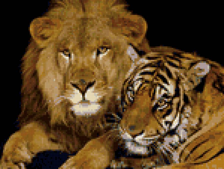 Лев и тигр - львы, тигры, животные - предпросмотр