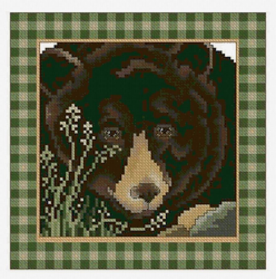 Медведь - медведь, животные, подушка, живопись - предпросмотр