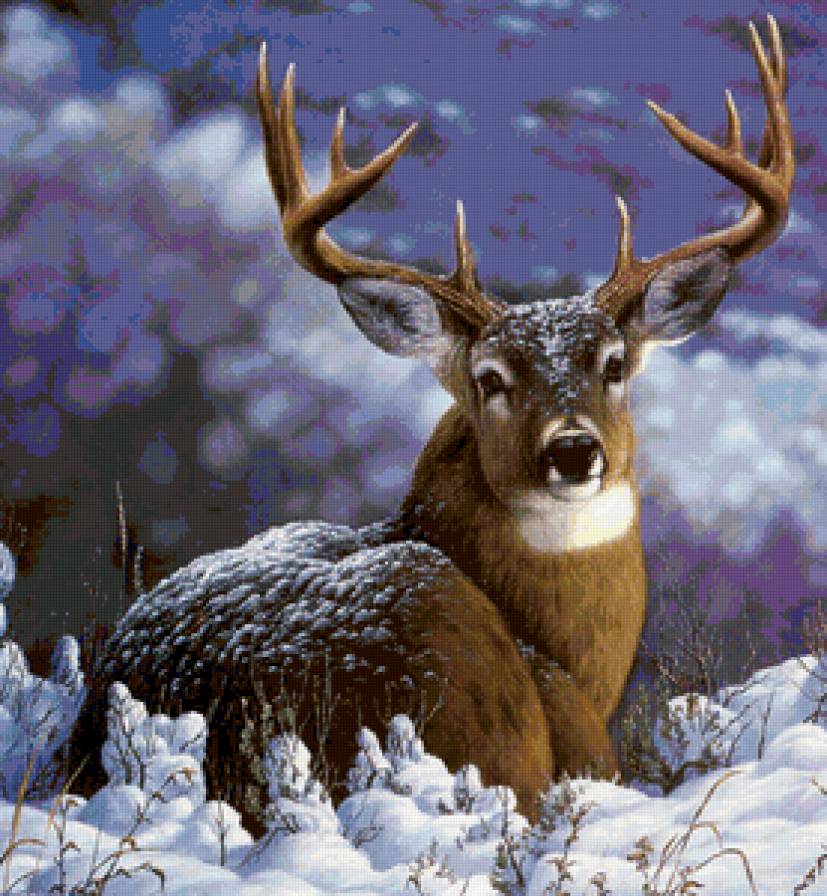 олень на снегу - олень, зима, животные, картина, красота - предпросмотр
