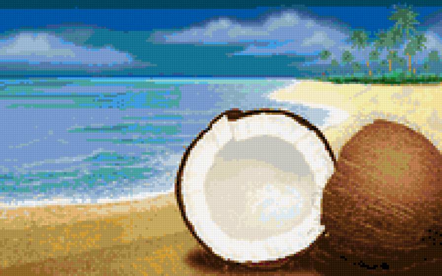coconut - fruit - предпросмотр