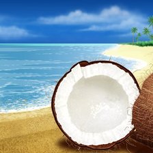 Схема вышивки «coconut»