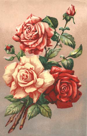 розы - вышивка открытки, цветы - оригинал
