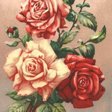 Оригинал схемы вышивки «розы» (№130730)