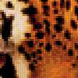 Предпросмотр схемы вышивки «Леопард» (№130764)