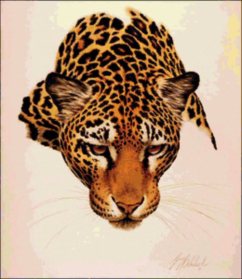 Леопард - леопарды, кошки, дикие кошки - предпросмотр