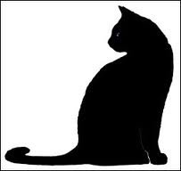 Черный кот - животные, кот - оригинал