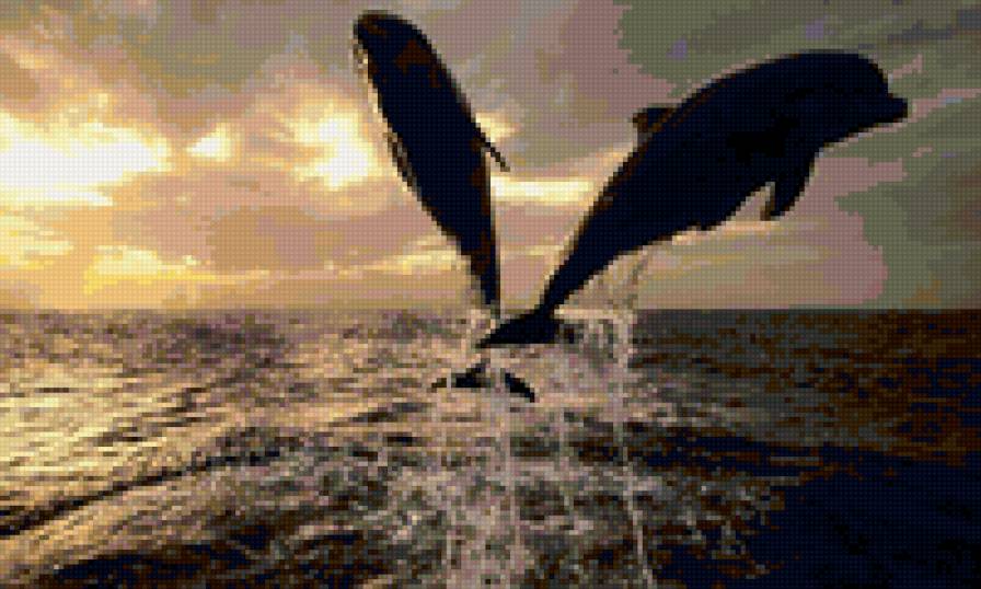 Дельфины - океан, море, дельфины - предпросмотр